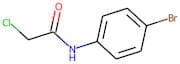N1-(4-bromophenyl)-2-chloroacetamide