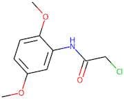 N1-(2,5-Dimethoxyphenyl)-2-chloroacetamide