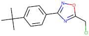 3-[4-(tert-Butyl)phenyl]-5-(chloromethyl)-1,2,4-oxadiazole