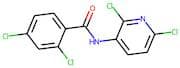 N1-(2,6-dichloro-3-pyridyl)-2,4-dichlorobenzamide