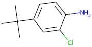4-tert-Butyl-2-chloroaniline