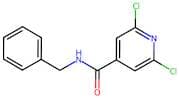 N4-benzyl-2,6-dichloroisonicotinamide