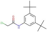 2-chloro-N-[3,5-di(tert-butyl)phenyl]acetamide
