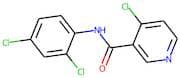 N3-(2,4-dichlorophenyl)-4-chloronicotinamide