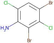 2,4-Dibromo-3,6-dichloroaniline