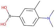 4-(Dimethylamino)-3-methylbenzeneboronic acid