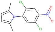 1-(2,5-Dichloro-4-nitrophenyl)-2,5-dimethyl-1H-pyrrole