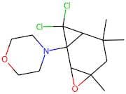 4-(8,8-dichloro-4,6,6-trimethyl-3-oxatricyclo[5.1.0.0~2,4~]oct-1-yl)morpholine