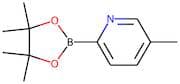 5-Methylpyridine-2-boronic acid, pinacol ester