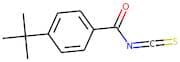 4-(tert-Butyl)benzoyl isothiocyanate