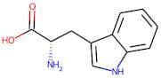 2-Amino-3-(1H-indol-3-yl)propanoic acid