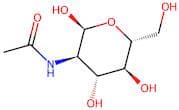 2-Acetamido-2-deoxy-α-D-glucopyranose