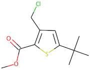 Methyl 5-(tert-butyl)-3-(chloromethyl)thiophene-2-carboxylate
