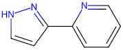 2-(1H-Pyrazol-3-yl)pyridine