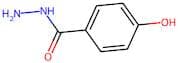 4-Hydroxybenzhydrazide