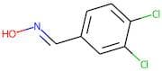 3,4-dichlorobenzaldehyde oxime