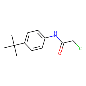 N1-[4-(tert-butyl)phenyl]-2-chloroacetamide
