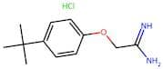 2-[4-(tert-butyl)phenoxy]ethanimidamide hydrochloride