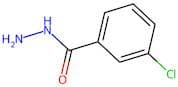 3-Chlorobenzhydrazide