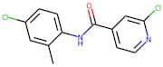 N4-(4-chloro-2-methylphenyl)-2-chloroisonicotinamide