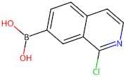 1-Chloroisoquinoline-7-boronic acid