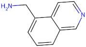 (Isoquinolin-5-yl)methanamine