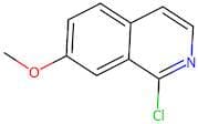 1-Chloro-7-methoxyisoquinoline