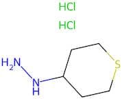1-(Tetrahydro-2h-thiopyran-4-yl)hydrazine dihydrochloride