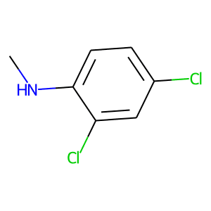 N1-methyl-2,4-dichloroaniline