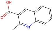 2-Methylquinoline-3-carboxylic acid