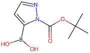 1H-Pyrazole-5-boronic acid, N1-BOC protected