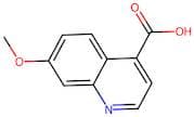 7-Methoxyquinoline-4-carboxylic acid