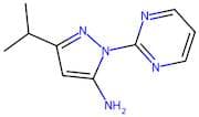 3-(Propan-2-yl)-1-(pyrimidin-2-yl)-1H-pyrazol-5-amine