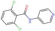 2,6-Dichloro-N-4-pyridinylbenzamide