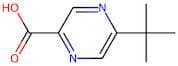 5-(tert-Butyl)pyrazine-2-carboxylic acid