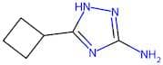 5-Cyclobutyl-1H-1,2,4-triazol-3-amine
