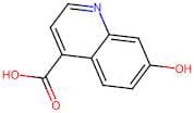 7-Hydroxyquinoline-4-carboxylic acid