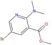 Methyl 5-bromo-2-(dimethylamino)nicotinate