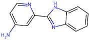 2(1H-Benzoimidazol-2-yl)-pyridin-4-yl amine