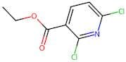 Ethyl 2,6-dichloropyridine-3-carboxylate