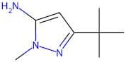 5-Amino-3-(tert-butyl)-1-methyl-1H-pyrazole