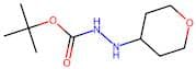 N'-(Oxan-4-yl)(tert-butoxy)carbohydrazide