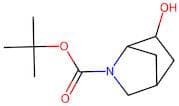 tert-Butyl 6-hydroxy-2-azabicyclo[2.2.1]heptane-2-carboxylate