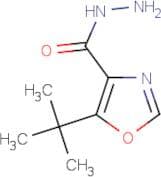 5-tert-Butyl-1,3-oxazole-4-carbohydrazide