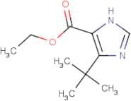Ethyl 5-tert-butyl-1H-imidazole-4-carboxylate