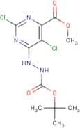 Methyl 6-({[(tert-butoxy)carbonyl]amino}amino)-2,5-dichloropyrimidine-4-carboxylate