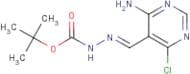 N'-[(1E)-(4-Amino-6-chloropyrimidin-5-yl)methylidene](tert-butoxy)carbohydrazide