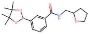 {3-[(Tetrahydrofuran-2-ylmethyl)carbamoyl]phenyl}boronic acid pinacol ester