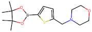 4-{[5-(Tetramethyl-1,3,2-dioxaborolan-2-yl)thiophen-2-yl]methyl}morpholine