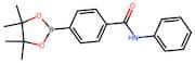 [4-(Phenylamino-1-carbonyl)phenyl] boronic acid pinacol ester